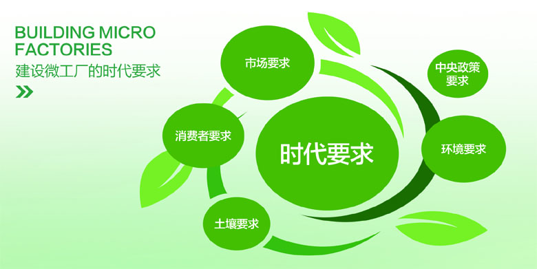 项目启动背景