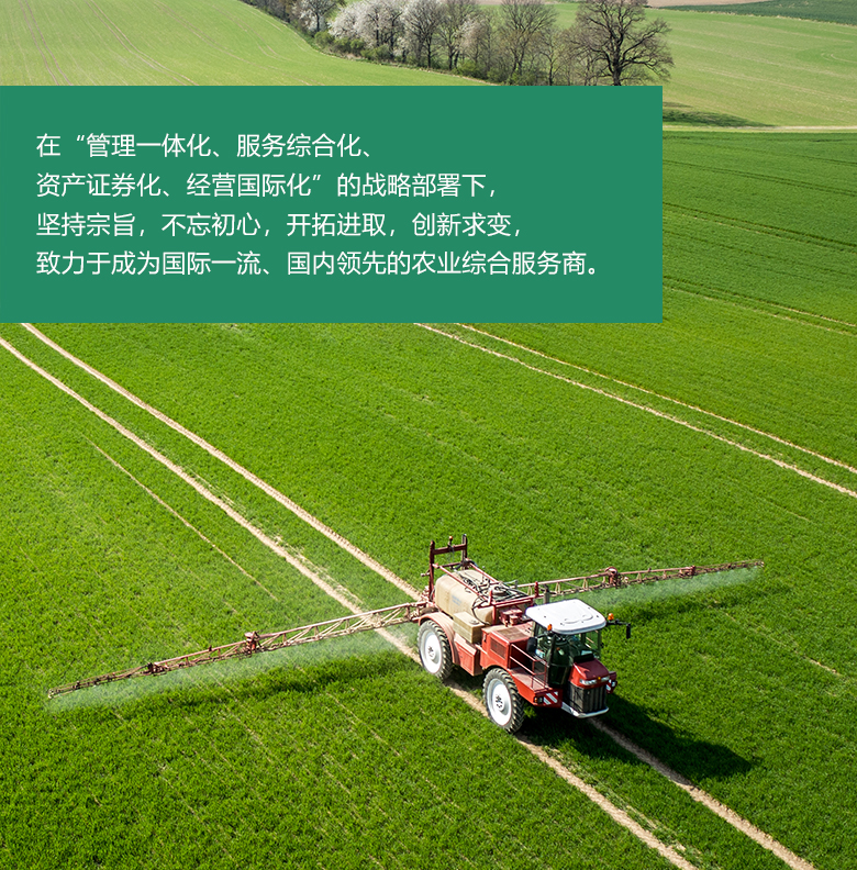 发展规划