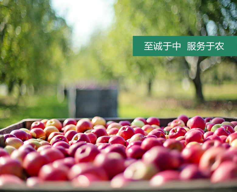 经营理念