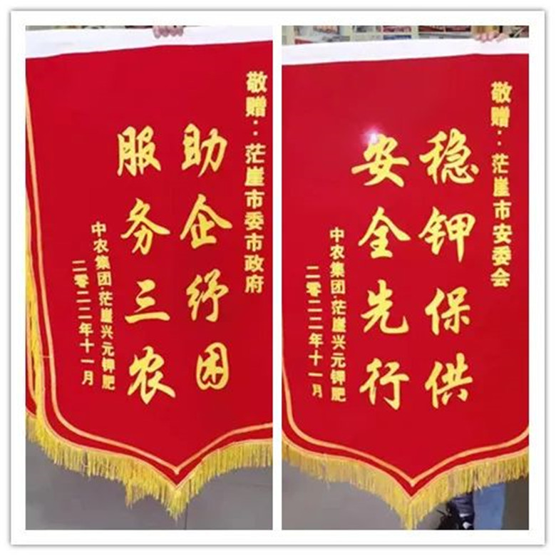 图片02