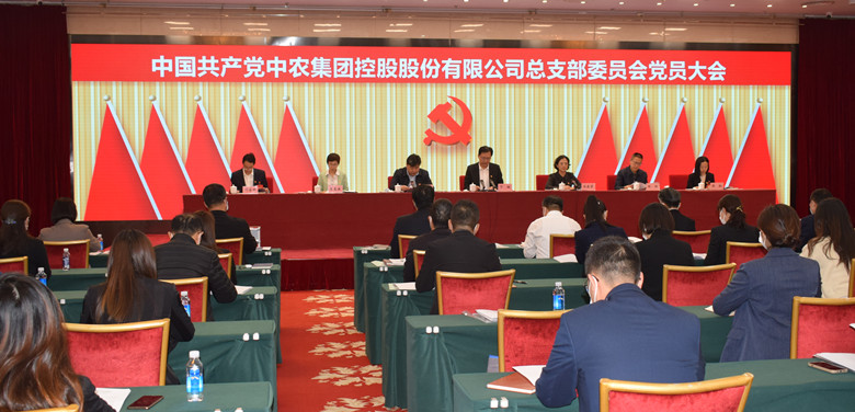 图片01