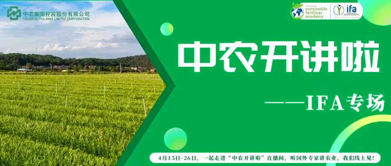 文内